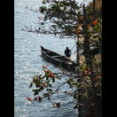 Am Karuvannur